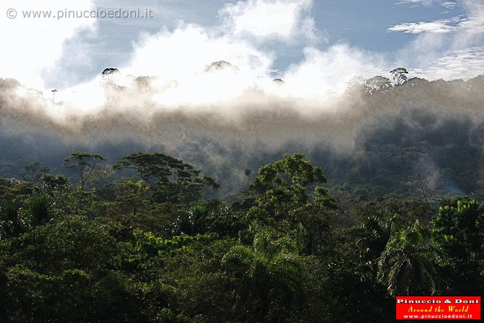 ECUADOR - Foresta Amazzonica - 04.jpg